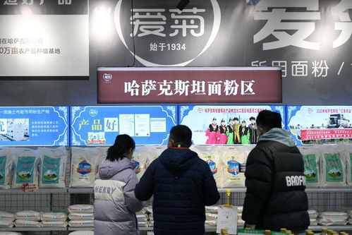 鏡觀·回響 中哈物流十年見證——西行東進，互聯(lián)互通下的貨物與技術進出口新篇章